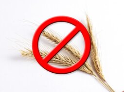gluten free meals