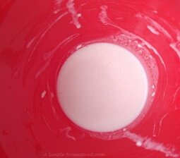 no bubbles yet in starter