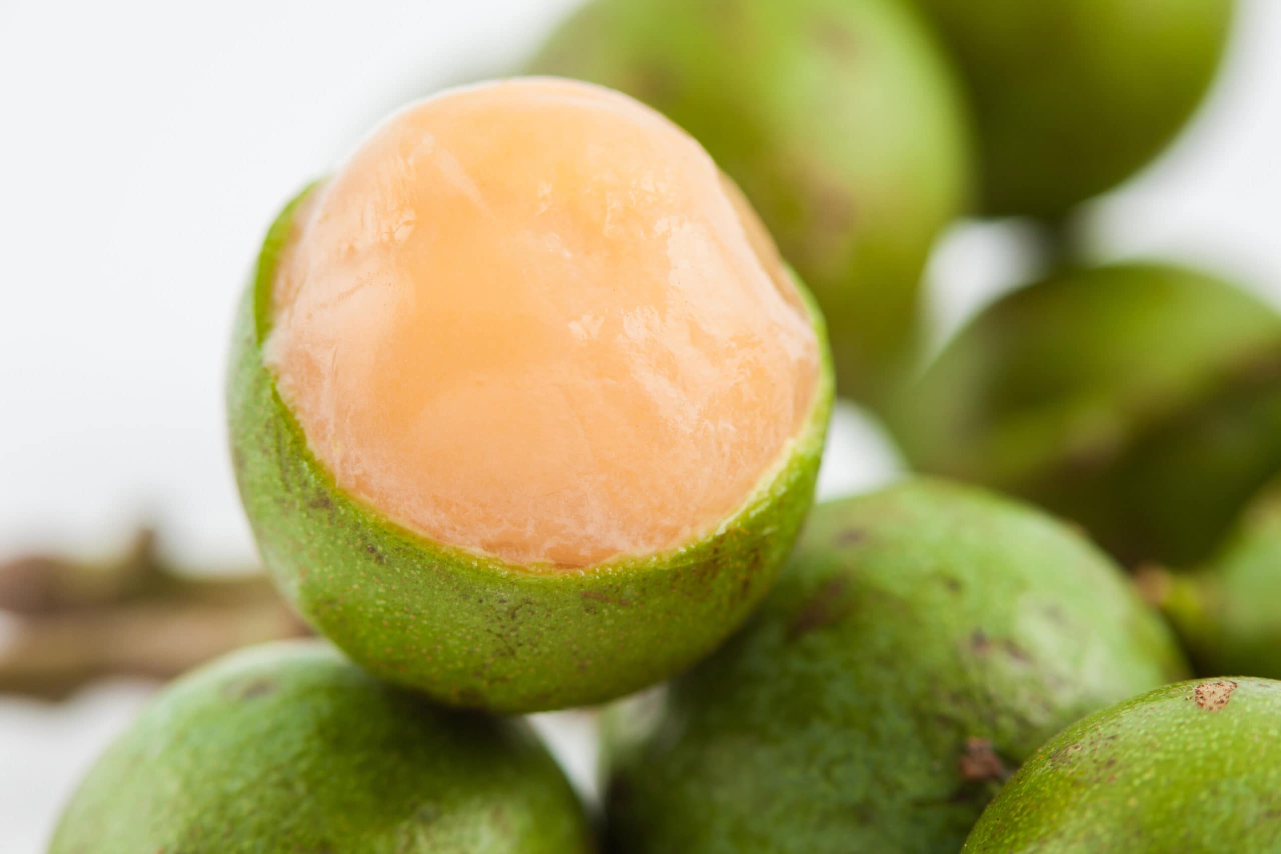 Guinep Fruit Healthier Steps