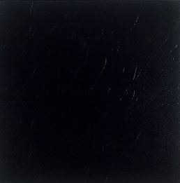 Cheap Peel And Stick Vinyl Flooring Discount Pricing Nexus Wholesale
