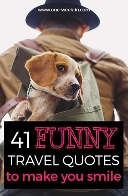 41 FUNNY Travel Quotes to MAKE you Laugh until you cry 2020