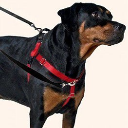 Dog Harness to Stop Pulling
