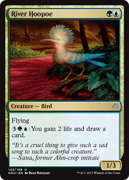 River Hoopoe Draft