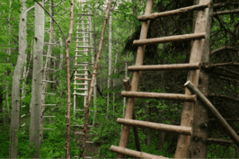 Building your own ladder