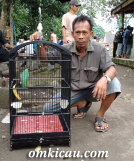 Udin dan Cucak Ijo Cinta Damai Udin dan Cucak Ijo Cinta Damai