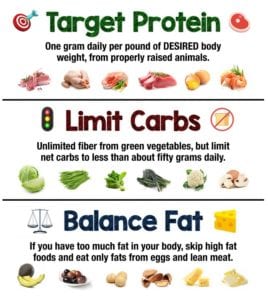 low carb high protein diet for obese