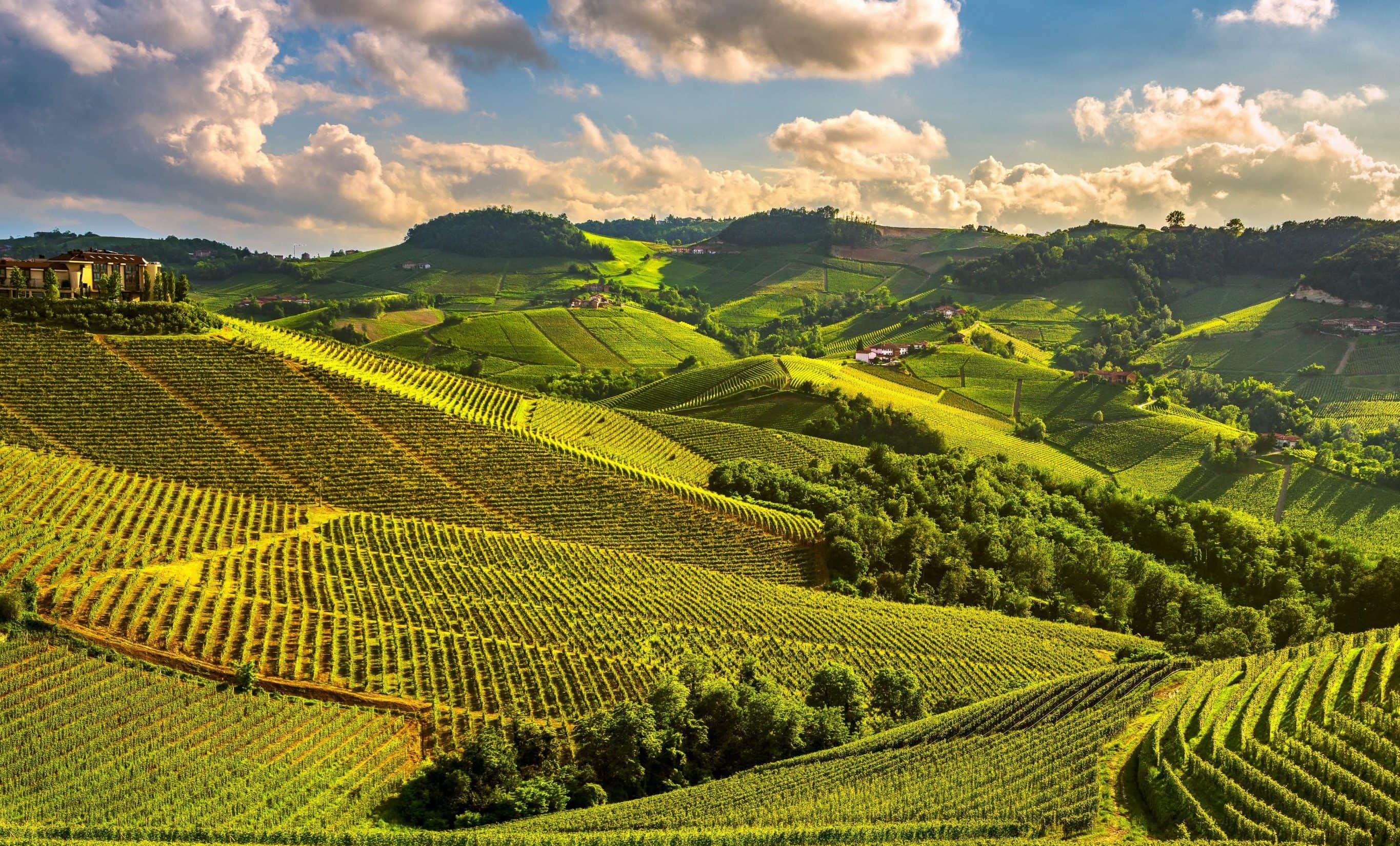 most popular, italy walking holidays, walking holidays in italy, Piedmont Wine Country: Barbaresco to Barolo, A new walking holiday in beautiful Piedmont