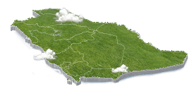 Main-Image-3