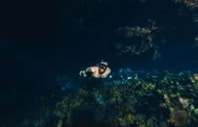 Pictures 148 Tulum, Mexico - Diving in a Cenote
