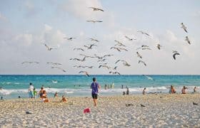Pictures 70 Playa del Carmen - Beach during daytime
