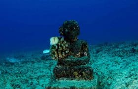 Pictures 31 What to do in Cancun Mexco: Visit to the Underwater Museum