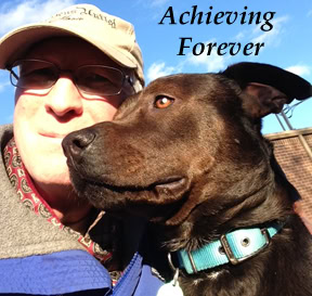 A YouTube series about helping foster dogs find homes