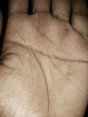 simian lines, simian line, best palm reader in the world