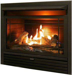 10 Best Gas Fireplace Inserts