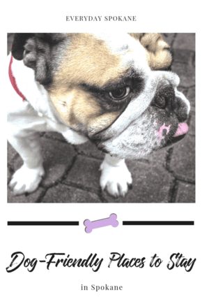 Looking for dog-friendly accommodations in Spokane? Here are 9 dog-friendly options for you, plus what to do with Fido while you're here!