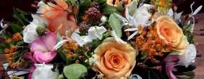 Dursley & District Flower Society