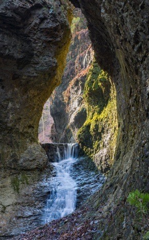 HI Nature Sanctuary (c) Tom Croce