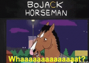 Meme de Bojack Horseman