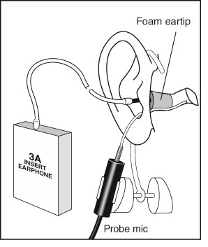 real ear measurment