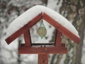 DIY Fly Thru Feeder diy fly thru feeder