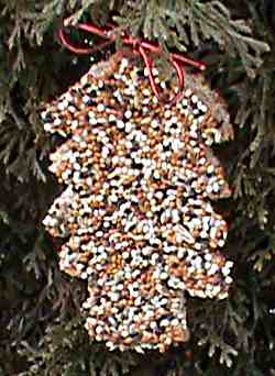 Birdy Christmas Treats birdy christmas treats