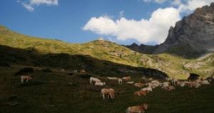 Refugio-de-espuguettes Refugio-de-espuguettes