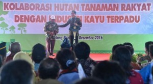 Photo caption: President Jokowi talks to a local resident of Pulang Pisau Regency,Central Kalimantan, on Tuesday (20/12)