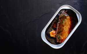 mackerel