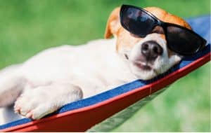 vakantie