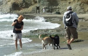 Dustin Showing Stetson The Water Dustin Showing Stetson The Water