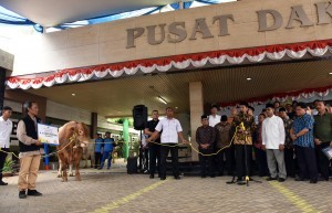 President Jokowi hands over a limousine cattle to PP Muhammadiyah and received directly by Chairman of Central Executive Board of Muhammadiyah Haedar Nashir, at office of Central Executive Board (PP) of Muhammadiyah, Jakarta, on Thursday (23/8). (Photo by: Jay/Public Relations).