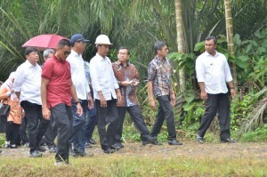 President Jokowi inspects the implementation of Labor Intensive Program in Dharmasraya Regency, on Wednesday (7/2)