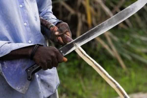 man using machete man using a machete to cut wood