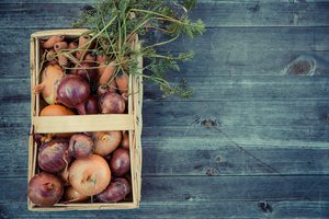 How To Store Onions And Increase Their Shelf Life Listonic