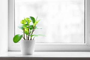fensterbank-einbau-tipp-zum-bau Planen Sie Ihre Fensterbank mit Tipp zum Bau.