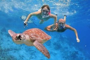 Boek ook een in Alanya wie weet komt u wel een schildpad of dolfijnen tegen 300x200 photo Boek ook een in Alanya wie weet komt u wel een schildpad of dolfijnen tegen 300x200 Nergens goedkoper: 9 daagse vliegvakantie naar Alanya 3 *** Hotel Wien € 238, vertrek in Mei