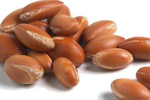 Argan Seeds