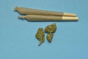 Marijuana