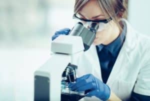 Pollen Quality in Research.