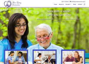 Blue Rosey Homecare (web design)