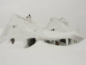 Extreme Cold