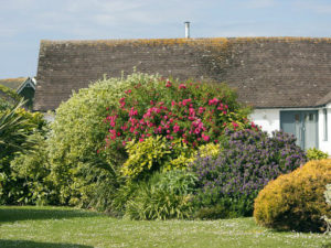 Trim Your Hedges