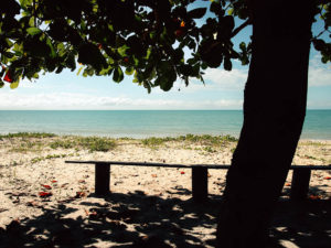 Foto einer Bank unter einem Baum am Strand mit türkisem Wasser