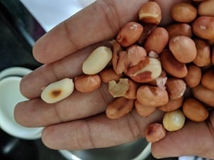 Roasted Groundnuts