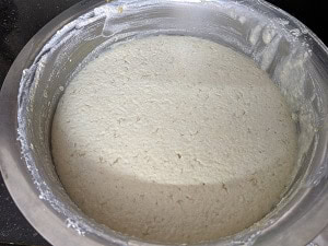 Fermented Idli batter with Proso Millet