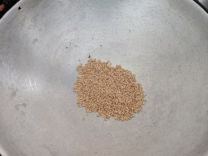 Sesame Seeds