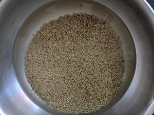 Soaked Barnyard Millet