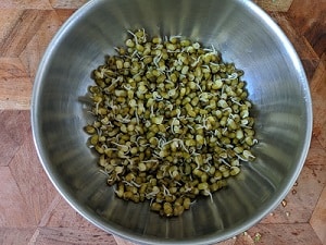 Steamed Moong sprouts