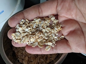 Rolled Oats and Instant Oats for Oats Chilla