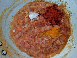 Spice Mixes - Turmeric and Red chilli powder with seasoning